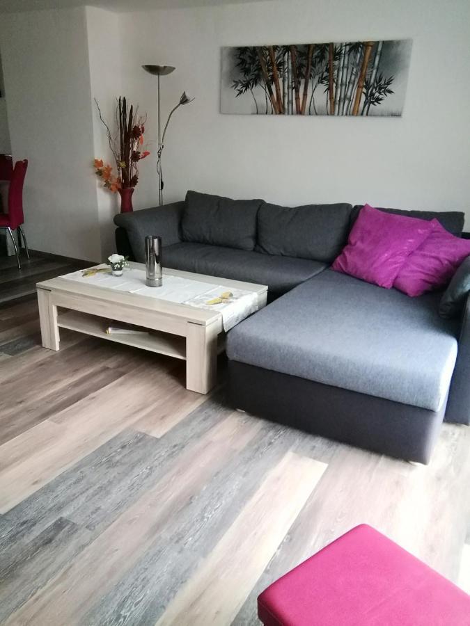 Haus Maisonette Am Harz Niedersachswerfen Zewnętrze zdjęcie